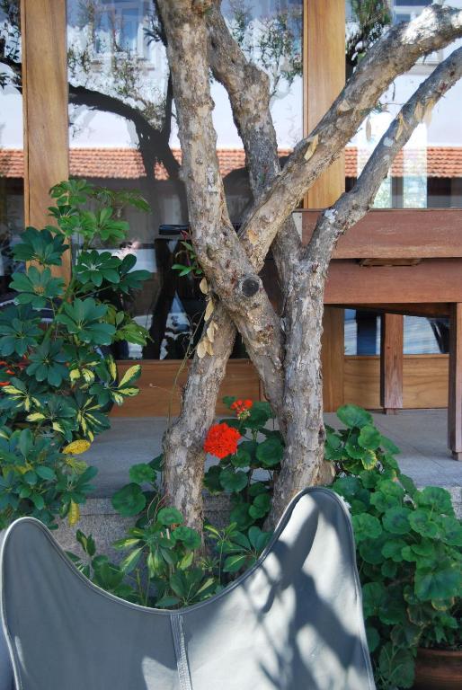 Quinta De Tourais Hotel Lamego Eksteriør billede