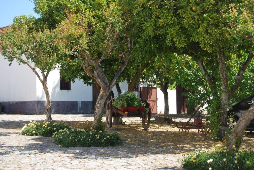 Quinta De Tourais Hotel Lamego Eksteriør billede