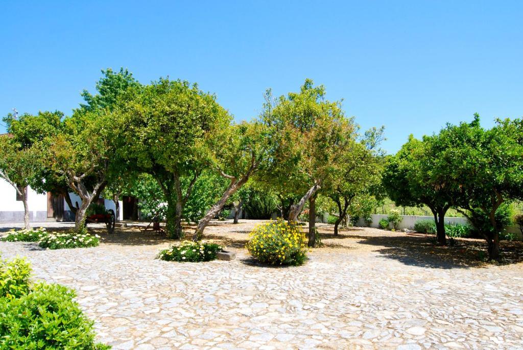 Quinta De Tourais Hotel Lamego Eksteriør billede