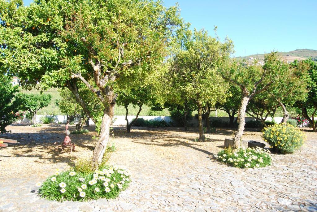 Quinta De Tourais Hotel Lamego Eksteriør billede